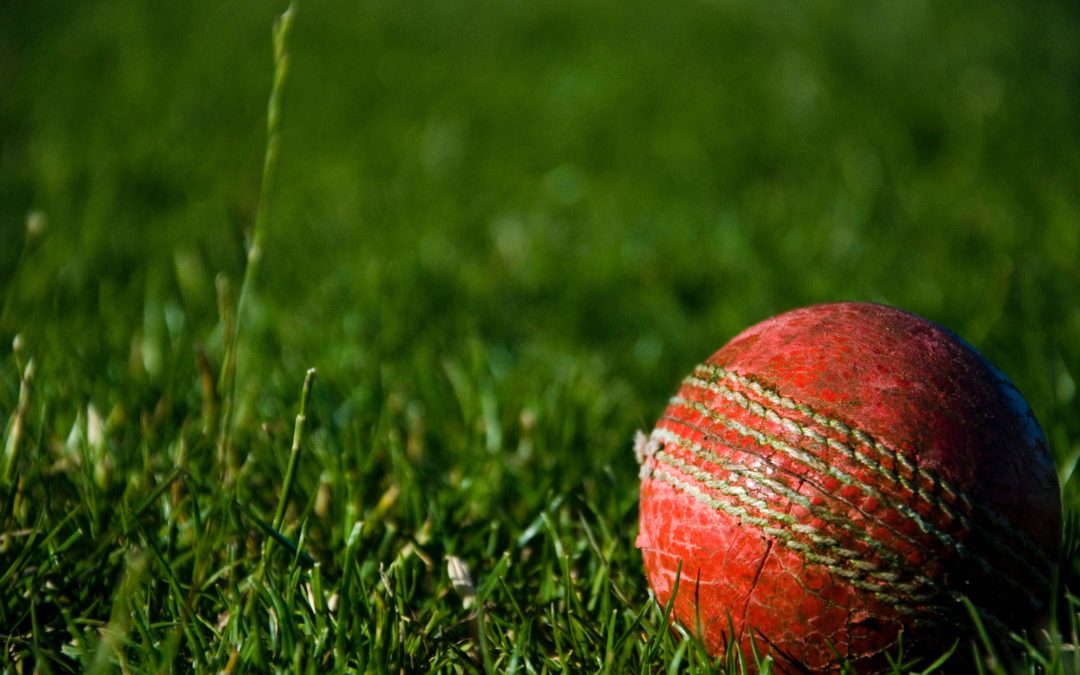 Surrey Cricket Foundation run DSActive Cricket