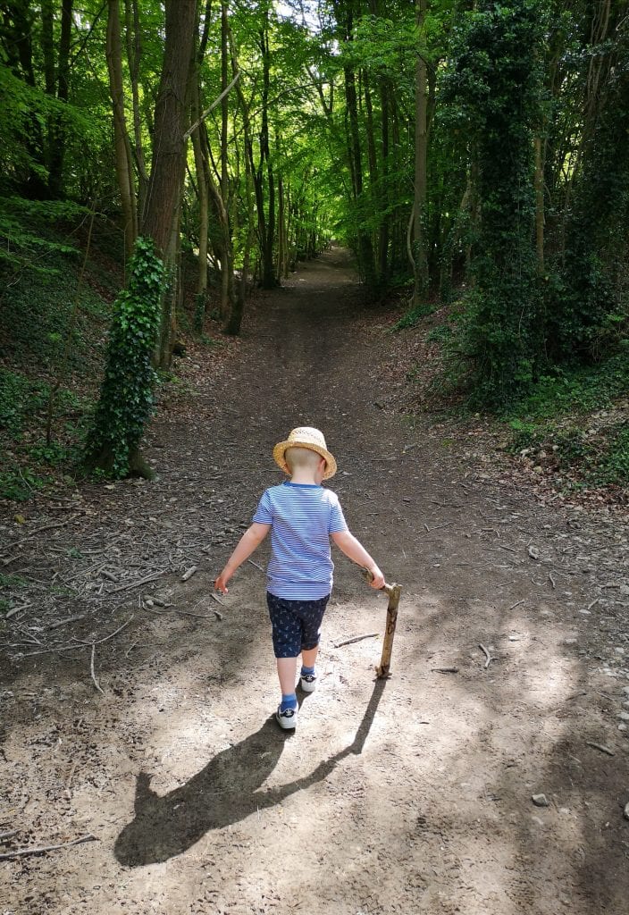 A young boy walks along a woodland footpath. He's wearing shorts, t-shirt and a hat.