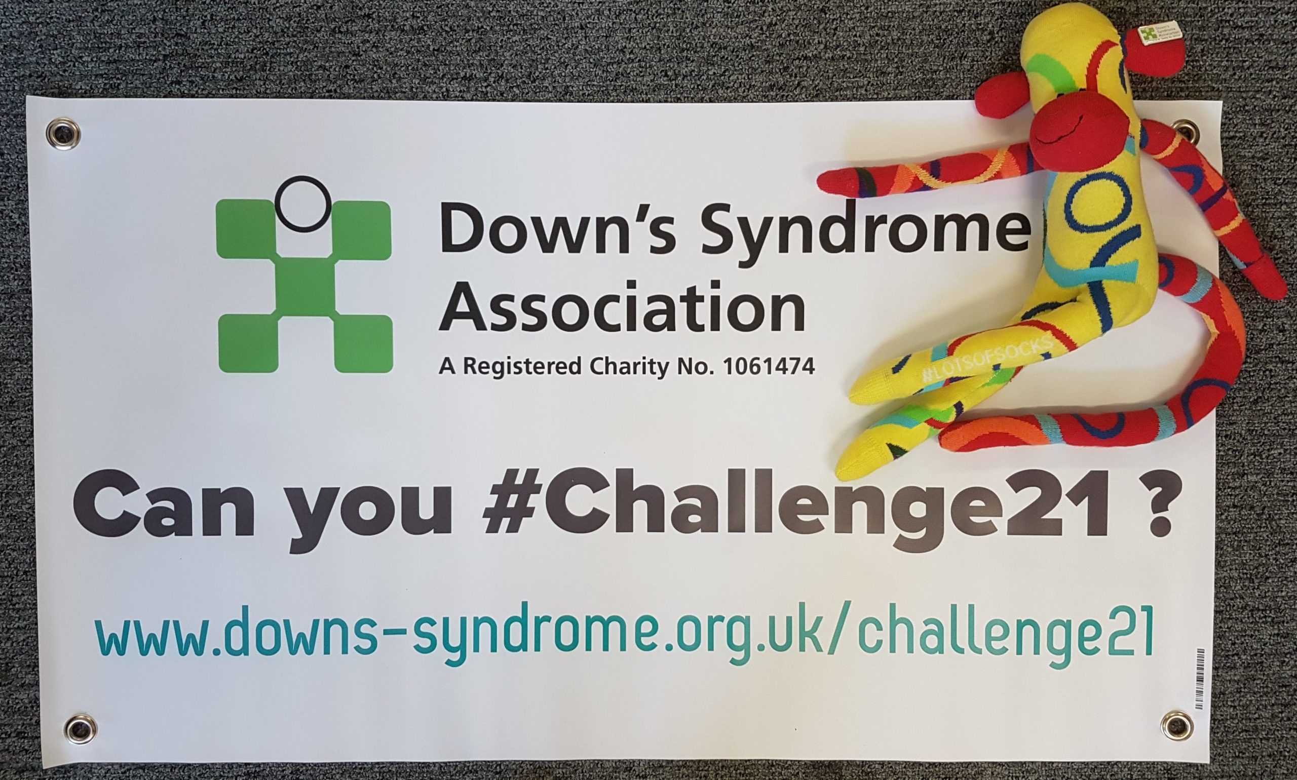 Challenge 21 - Downs Syndrome Association