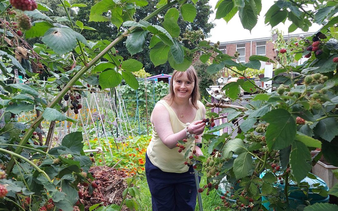 Enjoying time on a friend’s allotment | Kate’s blog