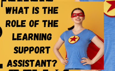 What is the role of the Learning Support Assistant (LSA)?