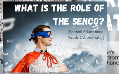 What is the role of the SENCo or ALNCO?