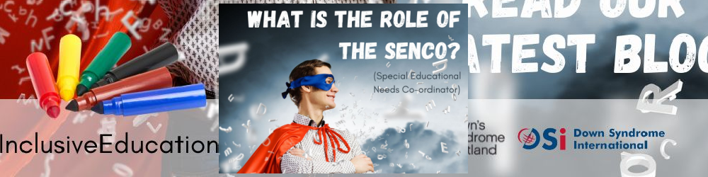 What is the role of the SENCo or ALNCO?