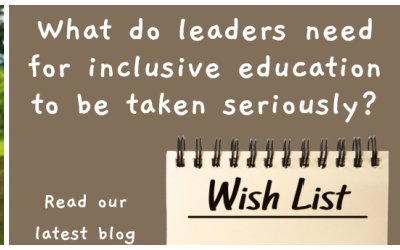 What do leaders need, for ‘inclusive education’ to be taken seriously?